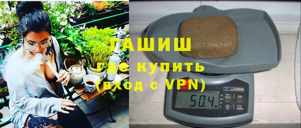 сатива Алзамай